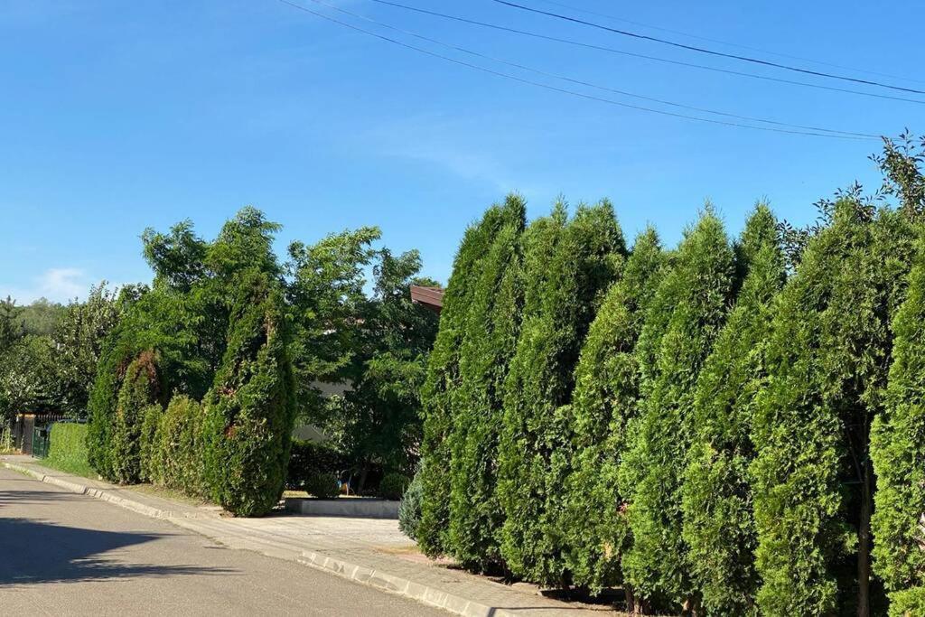 La Tuya Deluxe Villa Jászvásár Kültér fotó